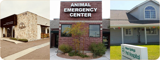 Every clinic operates under the same standard
