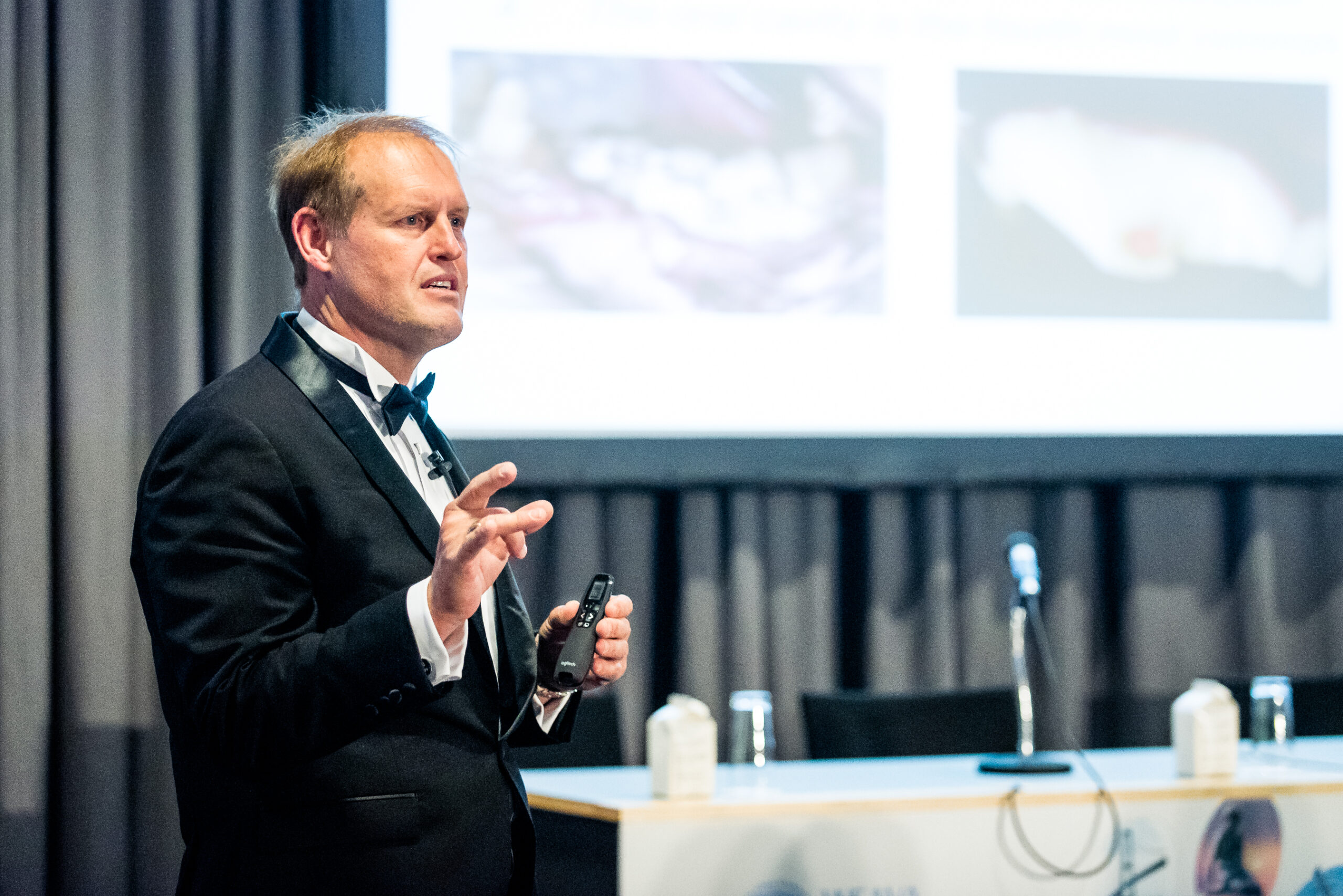 Dr Niemeic presentation
