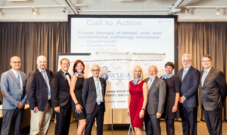 Dental Guidelines Launch