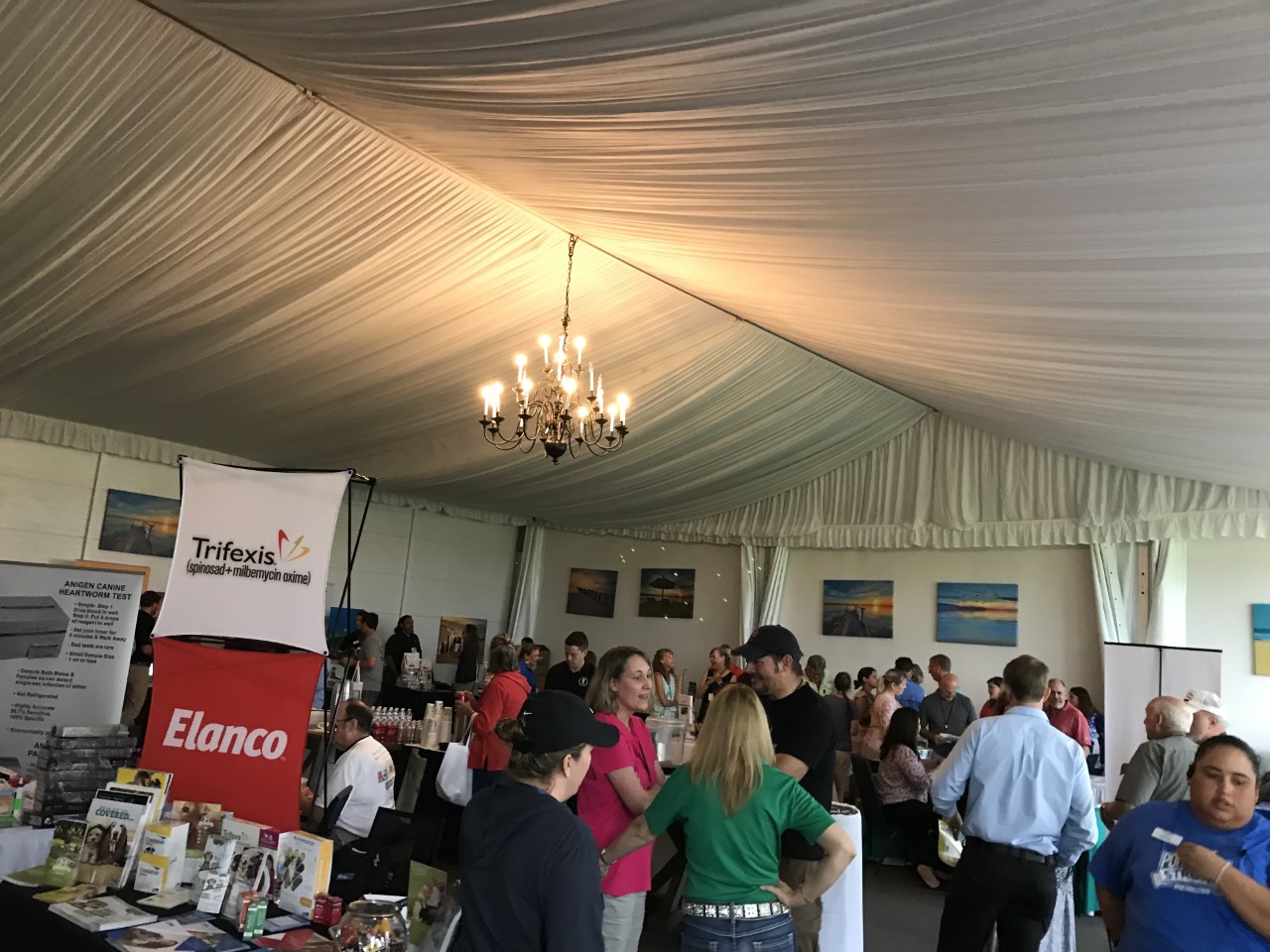 The exhibit hall